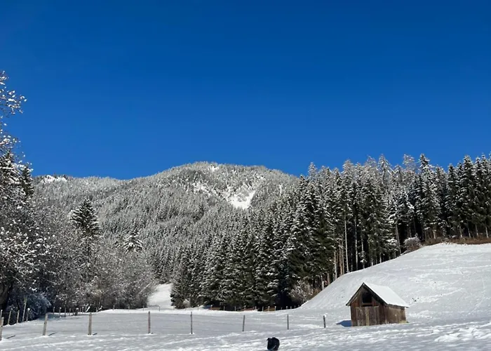 Haus Danklmaier/raudaschl